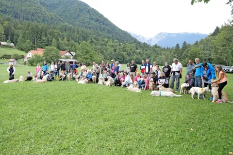 Fotografija za spomin / Foto: Tina Dokl / Foto: 