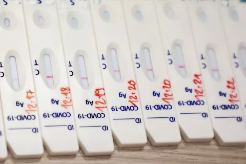 Foto: Tina Dokl / Foto: 