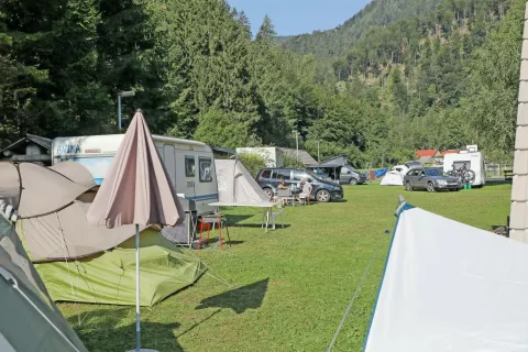Prevladujejo gostje iz Češke, Nemčije, Slovenije in Nizozemske. / Foto: Tina Dokl / Foto: 