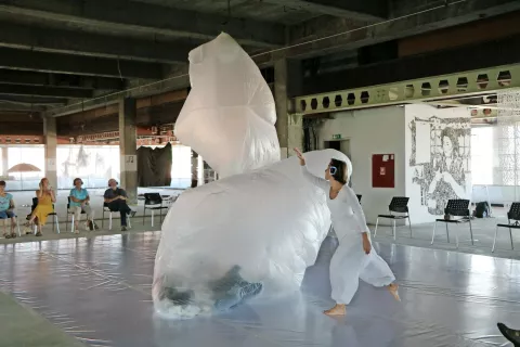 VELIKANI _ plastične krajine je ekološko kritično in trajnostno naravnana plesno-vizualna predstava. / Foto: 