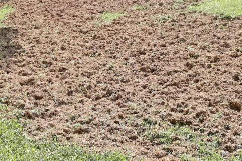 Takole sta videti travnika na Guzeljevi kmetiji pri Sveti Barbari in na eni od kmetij v Studenčicah. / Foto: 