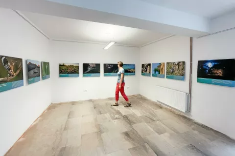 Potujoča razstava Natura 2000 in Divja Slovenija: Narava povezuje je svojo pot začela v Arboretumu Volčji Potok. / Foto: 