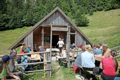 Srečanje gorenjskih agrarnih skupnosti na planini Ilovec – Galetovec / Foto: Gorazd Kavčič / Foto: 