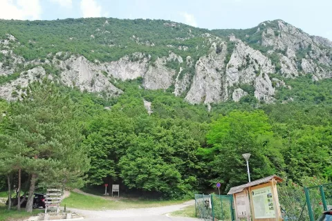 Tjale gor nekam se podajamo. / Foto: Jelena Justin / Foto: 