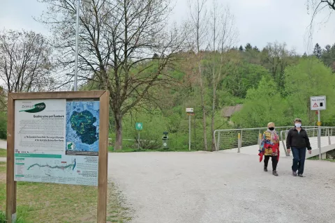 Šumberk je gozdni osamelec na obrobju Domžal, ki ima status gozda s posebnim pomenom. / Foto: 