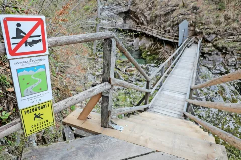 Soteska Vintgar se ponaša tudi z zanimivim in bogatim rastjem in rastlinstvom. / Foto: Tina Dokl / Foto: 
