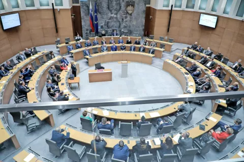 V državnem zboru se ne zmorejo dogovoriti glede dodelitve mest nepovezanim poslancem v delovnih telesih. / Foto: arhiv GG / Foto: 