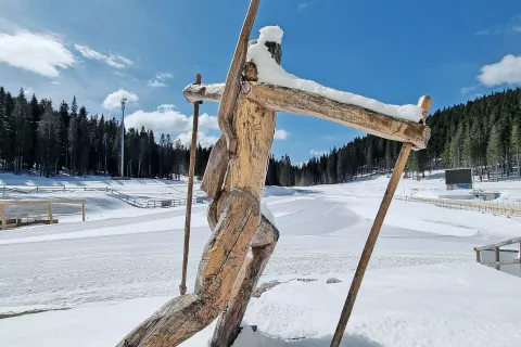 Zimska pravljica na Pokljuki še traja. / Foto: ŠC Triglav Pokljuka / Foto: 