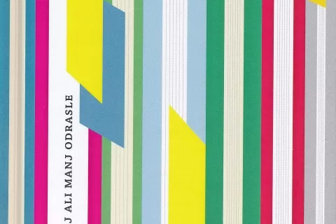 Nezbrani komadi: 222 pesmi za bolj ali manj odrasle, izbral Andrej Ilc, Mladinska knjiga, Ljubljana, 2020, 416 strani / Foto: 