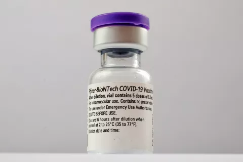 Foto: Gorazd Kavčič / Foto: 