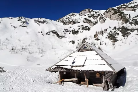 Pastirsko kočo na planini Koren je plaz z Zvoha premaknil. / Foto: Jelena Justin / Foto: 