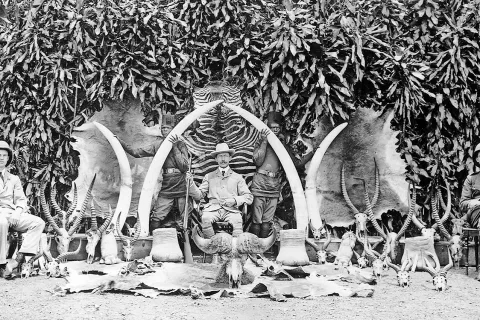 Beli lovci nekoč: britanski guverner Sir Henry Hesketh Bell z lovskimi trofejami in spremljevalcema v Ugandi, 1908 / Foto: Wikipedija / Foto: 