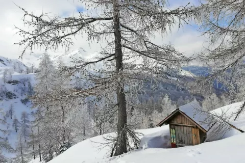 Zimska idila na belem Voglu / Foto: 