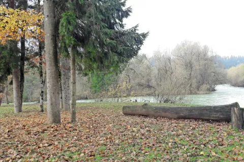 Del območja na sotočju so pred časom domačini uredili, a je dostop do tja po poti, ki vodi čez zemljišče investitorja, zdaj onemogočen. / Foto: 