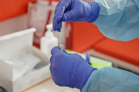 Foto: Gorazd Kavčič / Foto: 