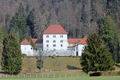 Je gorenjski grad lahko nastanitev ravno dovolj odprtega in hkrati zaprtega tipa za ameriško filmsko zvezdnico kova Naomi Watts? / Foto: 