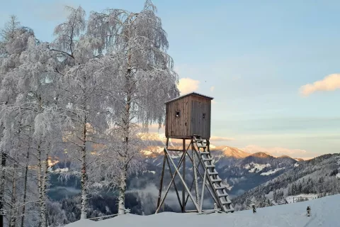 Samotna lovska opazovalnica ob poti na Porezen / Foto: 