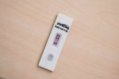 Hitri antigenski test: dve črtici pomenita pozitiven rezultat. / Foto: Gorazd Kavčič / Foto: 