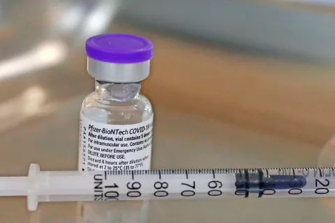 Foto: Gorazd Kavčič / Foto: 