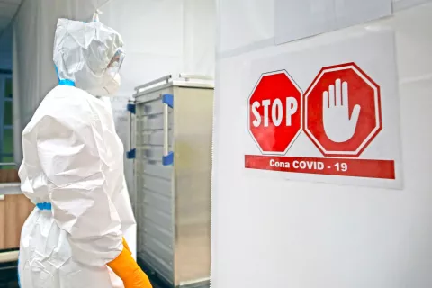 Foto: Gorazd Kavčič / Foto: 