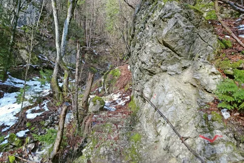 Pot je ponekod tehnično malce zahtevnejša in izpostavljena. / Foto: Jelena Justin / Foto: 