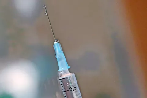 Foto: Gorazd Kavčič / Foto: 