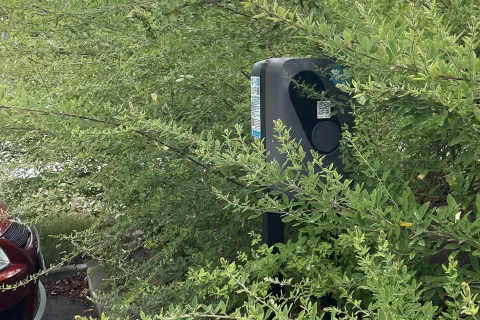 Polnilnica pri &scaron;portni dvorani je povsem skrita za zelenjem, zato je marsikdo ne opazi, zlasti ker parkirni mesti pred njo nista ustrezno označeni. / Foto: Tanja Mlinar