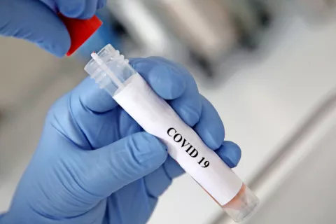 Foto: Gorazd Kavčič / Foto: 