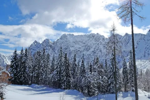 Pogled na severno ostenje Karavank / Foto: Jelena Justin / Foto: 