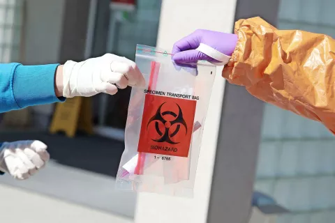 Foto: Gorazd Kavčič / Foto: 