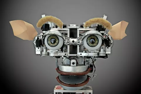 Kismet (v turščini pomeni usoda), robotska glava, simbolno ponazarja unijo človeka in AI; izdelana pred 2000, zdaj je v muzeju univerze MIT, ZDA. / Foto: Wikipedija / Foto: 