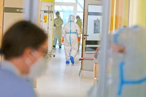 Foto: Gorazd Kavčič / Foto: 