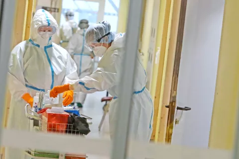 Foto: Gorazd Kavčič / Foto: 