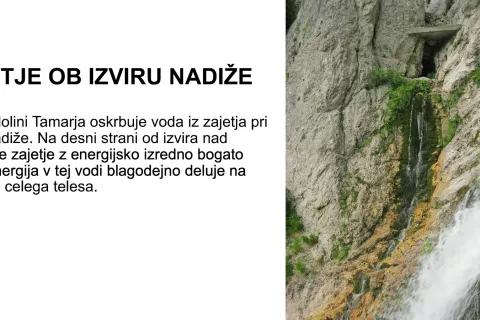 Jože Munih je na spletnem predavanju pojasnil, da je energijsko najmočnejšo vodo na Gorenjskem izmeril v zajetju pri izviru gorskega potoka Nadiža. / Foto: zajem zaslona / Foto: 