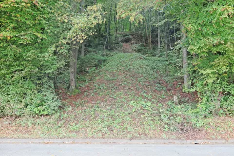 Pogled na nekdanjo skakalnico s ceste nasproti nekdanjih Živil v Naklem / Foto: 