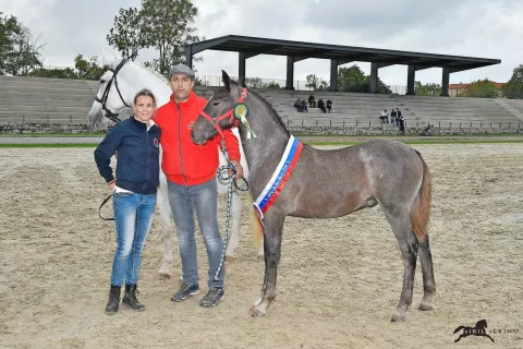 Nina in Janez Peternel ob zmagovalnem žrebičku, v ozadju njegova mama / Foto: Sibil Slejko / Foto: 