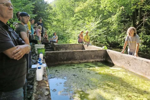 Ob potoku Nemiljščica je več naravnih izvirov tople vode, ob najtoplejšem pa so sredi prejšnjega stoletja postavili betonski bazen. Letos poleti so strokovnjaki vzeli vzorce vode in jih raziskali. / Foto: 
