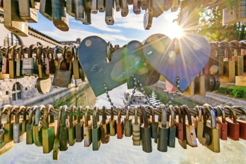 Zmagovalna fotografija t. i. mostu ljubezni čez Ljubljanico / Foto: Andrej Tarfila / Foto: 