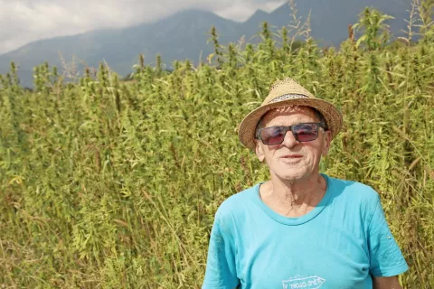Anton Korenjak pred njivo industrijske konoplje / Foto: Gorazd Kavčič / Foto: 