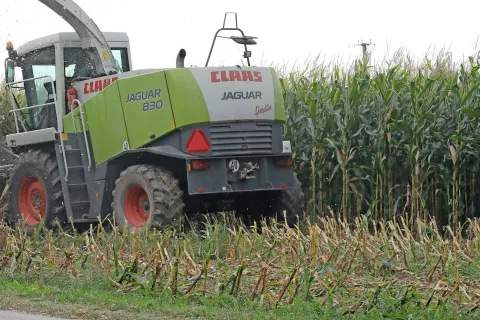Do delovne nesreče je prišlo med žetjem koruze. Slika je simbolična. / Foto: Gorazd Kavčič / Foto: 
