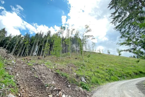 Ceste na Jelovici so zaradi velikih obremenitev v slabem stanju. Uporabljajo jih tako obiskovalci kot v gozdarske namene. / Foto: 