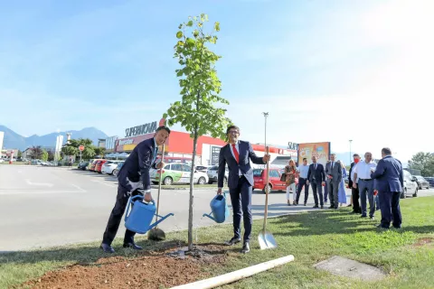 Tomislav Čizmić in župan Kranja Matjaž Rakovec sta zasadila prvi drevesi drevoreda, ki ga bodo ob Cesti Staneta Žagarja dokončno uredili oktobra. / Foto: Tina Dokl / Foto: 
