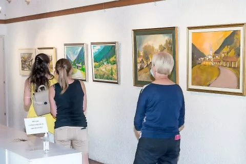 Razstavo si je možno ogledati do 3. avgusta. / Foto: Simon Benedičič / Foto: 