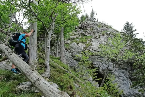 Proti vrhu Belske kope / Foto: Jelena Justin / Foto: 