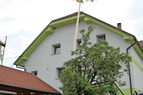 Mlaj za »mlado« abrahamovko je zelo visok. Kot se pač spodobi, pravijo njegovi postavljavci. / Foto: 