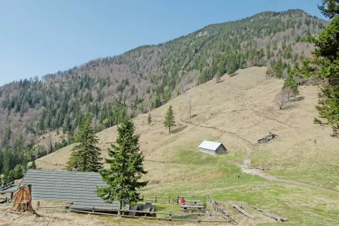 Planina Mala Poljana, od koder nadaljujemo proti Veliki Poljani / Foto: Jelena Justin / Foto: 