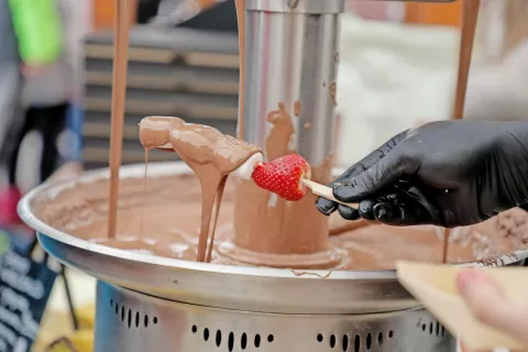 Foto: Tina Dokl / Foto: 