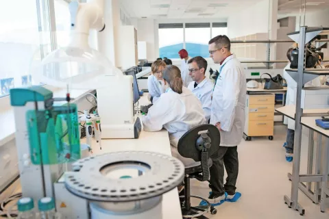 Kot so sporočili iz Leka, so že dobavili prve odmerke hidroksiklorokina v Slovenijo (fotografija je simbolična). / Foto: arhiv Gorenjskega glasa / Foto: 