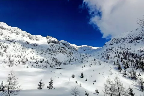 V visokogorju še vedno velja znatna nevarnost plazov. / Foto: Jasna Paladin / Foto: 