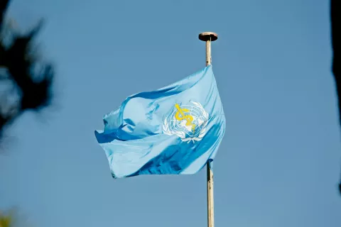 Zastava Svetovne zdravstvene organizacije (WHO) na njenem sedežu v Ženevi. Jo bodo v primeru pandemije spustili na pol droga? / Foto: Wikipedija / Foto: 